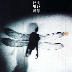 日韩爆乳一区二区无码精品视频
