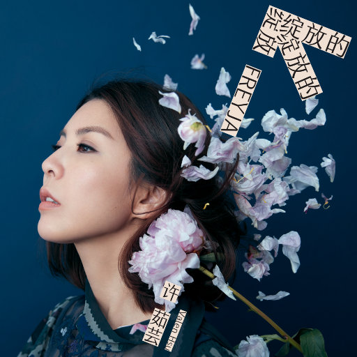 日韩爆乳一区二区无码精品视频
